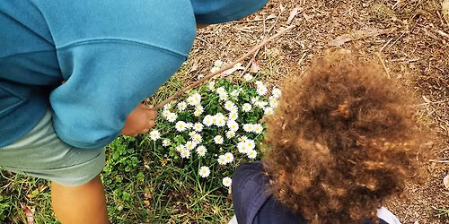 Auckland Homeschool Explorers