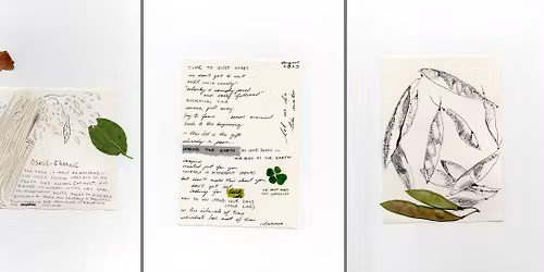 Ecological Reciprocity