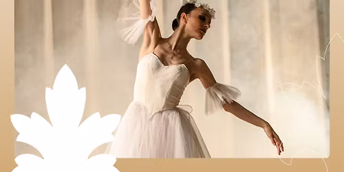 M\u00e1rai Balettiskola \u2013 Feln\u0151tt csoport