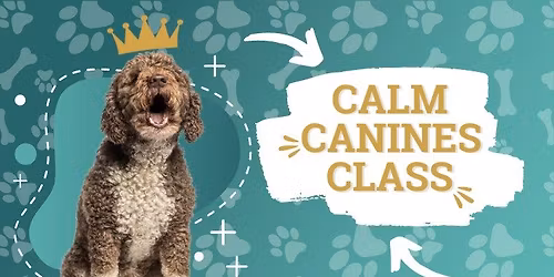 Calm Canines Reactivity Class