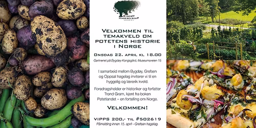 Temakveld om potetens historie i Norge