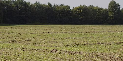 F\u00e4hrten Seminar mit Carola Klein