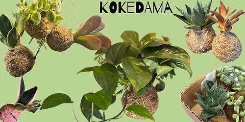 Kokedama workshop