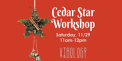 Cedar Star Worskhop at Vibology