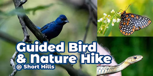 Guided Bird & Nature Hike at Short Hills: July 2026