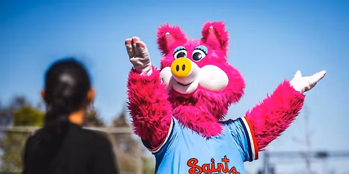 Worcester Red Sox at St. Paul Saints