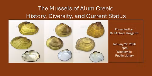 The Mussels of Alum Creek