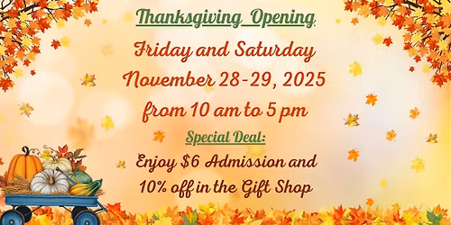 Thanksgiving Opening