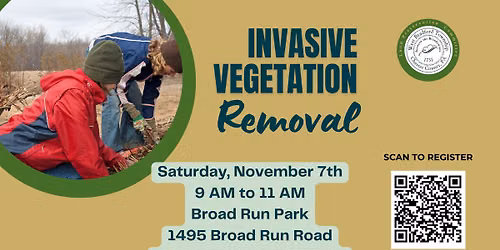 Invasive Vegetation Removal