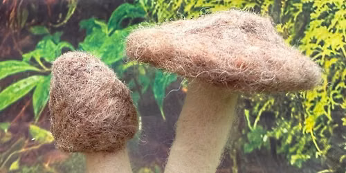 Needlefelting with Sue Lewis - Autumn Mushroom