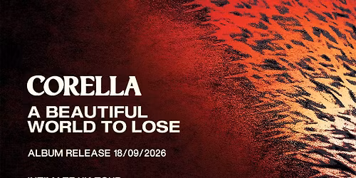 Corella \/\/ Docks Academy, Grimsby