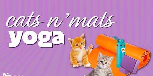 SOLD OUT: ARL Cats N' Mats