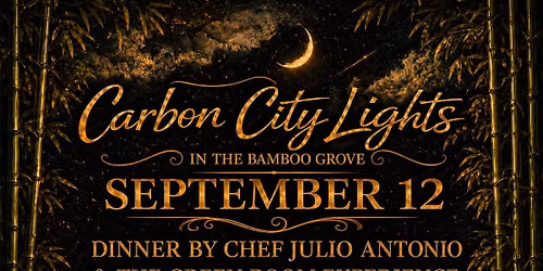 Carbon City Lights in the Grove