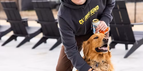 Breed Meet Up: GOLDENS