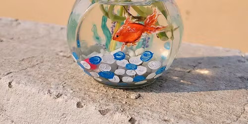 Howland Green: Mini Aquarium