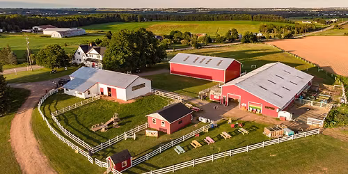 Father's Day Farm Brunch