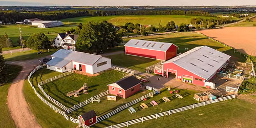 Father's Day Farm Brunch