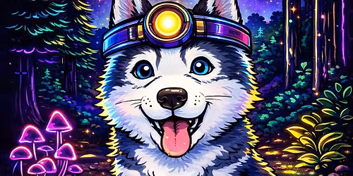 Tes\u00e1kova no\u010dn\u00ed mise 2026 (Opavsko) | ve\u010dern\u00ed hra pro d\u011bti \ud83d\udd26