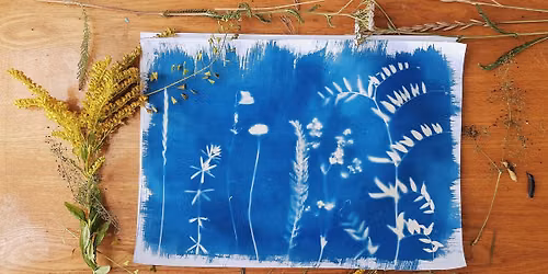 Cyanotype Workshop (Two Days)