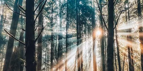 Second Thursday (reschedule) - Monthly Gathering & Tea