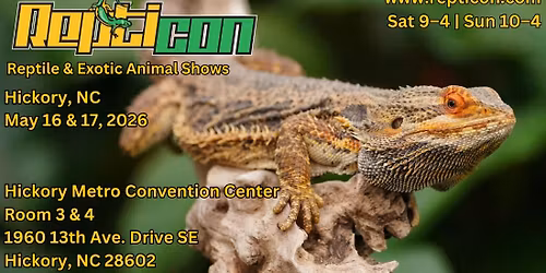 Repticon Hickory