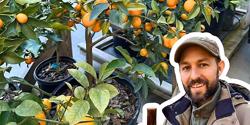 Container Fruit Trees with Josh Gardens in Charlottesville