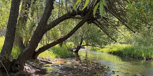 Creekside Clean Up Deadwood Gulch