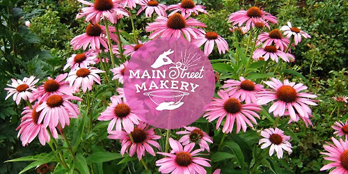 Herbal Medicine with Pocono Plants - Part 2