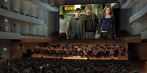 Harry Potter and The Deathly Hallows Part 1 In Concert