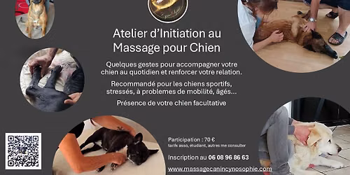 Initiation au Massage pour Chien