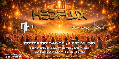 Ecstatic Dance and Concert: Hedflux and Fllow feat Lummingbird