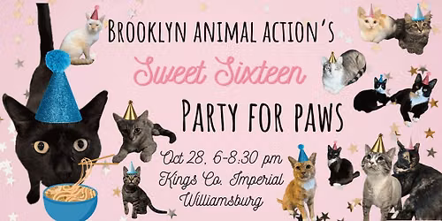 Party for Paws at Kings Co Imperial