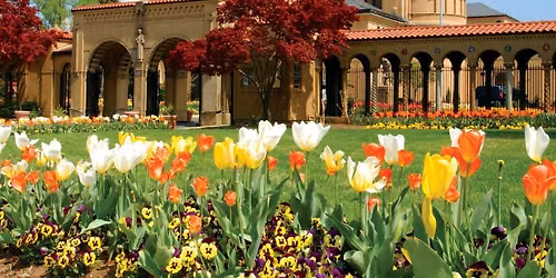 Special Marian Tours at The Monastery