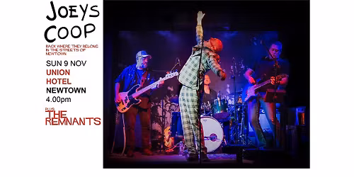 JOEYS COOP - Back to the Streets of Newtown