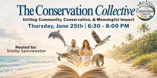 Conservation Collective | A Group Connected Through Conservation
