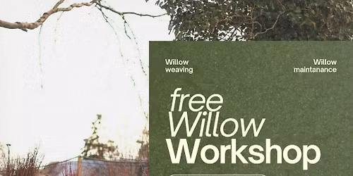 Willow Workshop