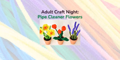 Adult Craft Night: Pipe Cleaner Flowers