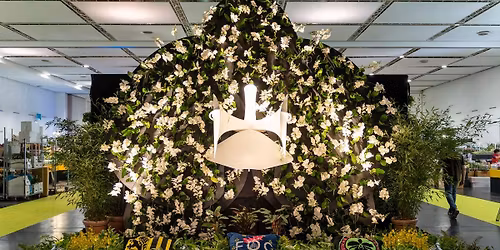 AOS Meet & Greet @ WOC 2026