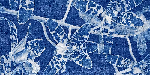 Botanical Fashion | UV Printing | Workshop