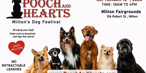 CDRO at Pooch and Hearts Milton