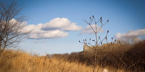 Forest Bathing Guided Walk