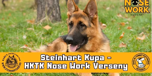 Steinhart Kupa - Nose Work verseny