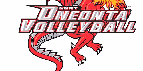 Competitive Adult Coed Quads Volleyball Tournament Fundraiser