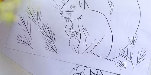 Drawing Animals with Melanie Brustad