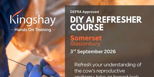 DIY AI Refresher Course