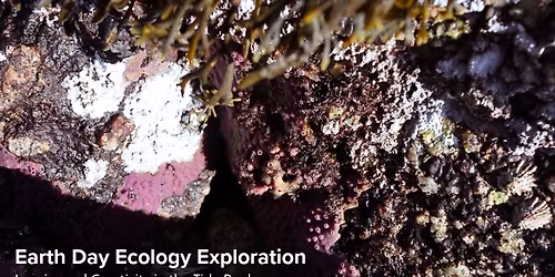 Earth Day Ecology Exploration