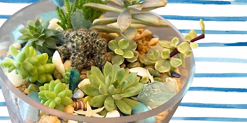 Succulent Workshop at Victory Brewing Company in Downingtown, PA