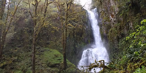 Hike: Kentucky Falls