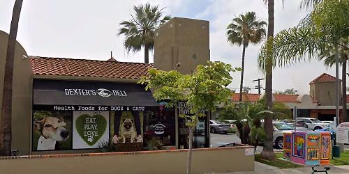San Diego (North Park) - Dog dental cleaning