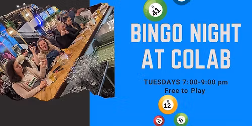 Bingo Night
